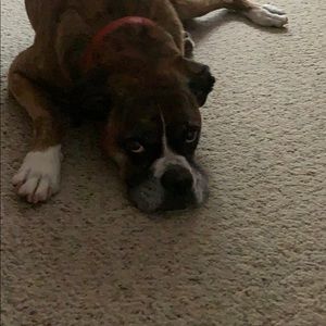 Meet your Posher, Ann